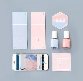 Pantone Color 1