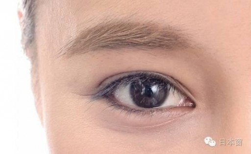 201606_Canmake Brow Coat