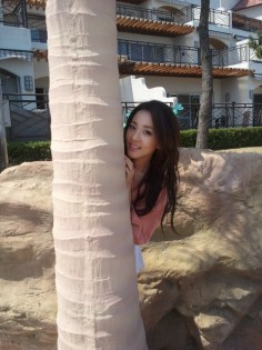 Sandara 7