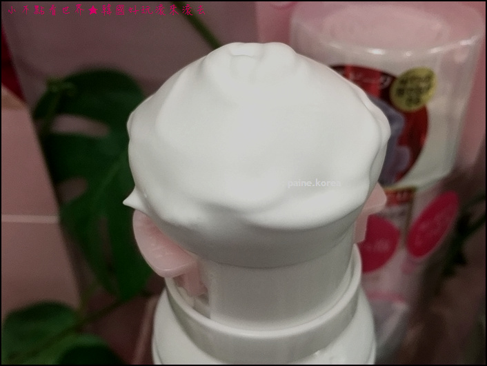 201609_Kanebo Washing true 2
